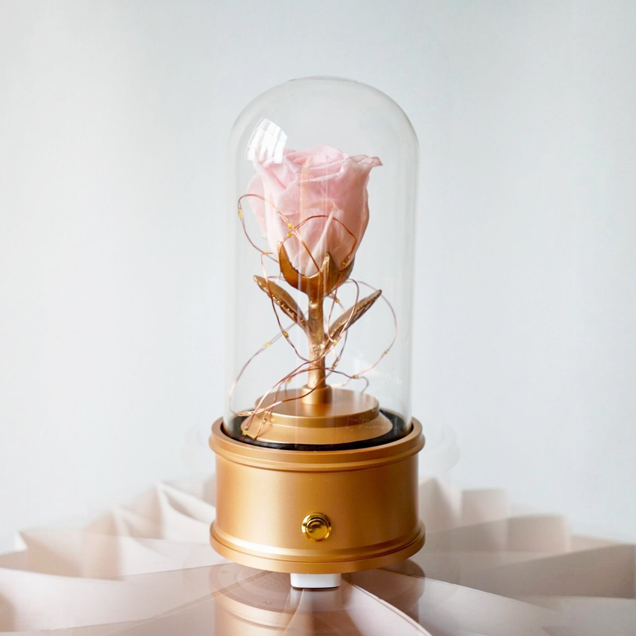 Preserved Rose Dome with Bluetooth Speakers & Lights (FL06)