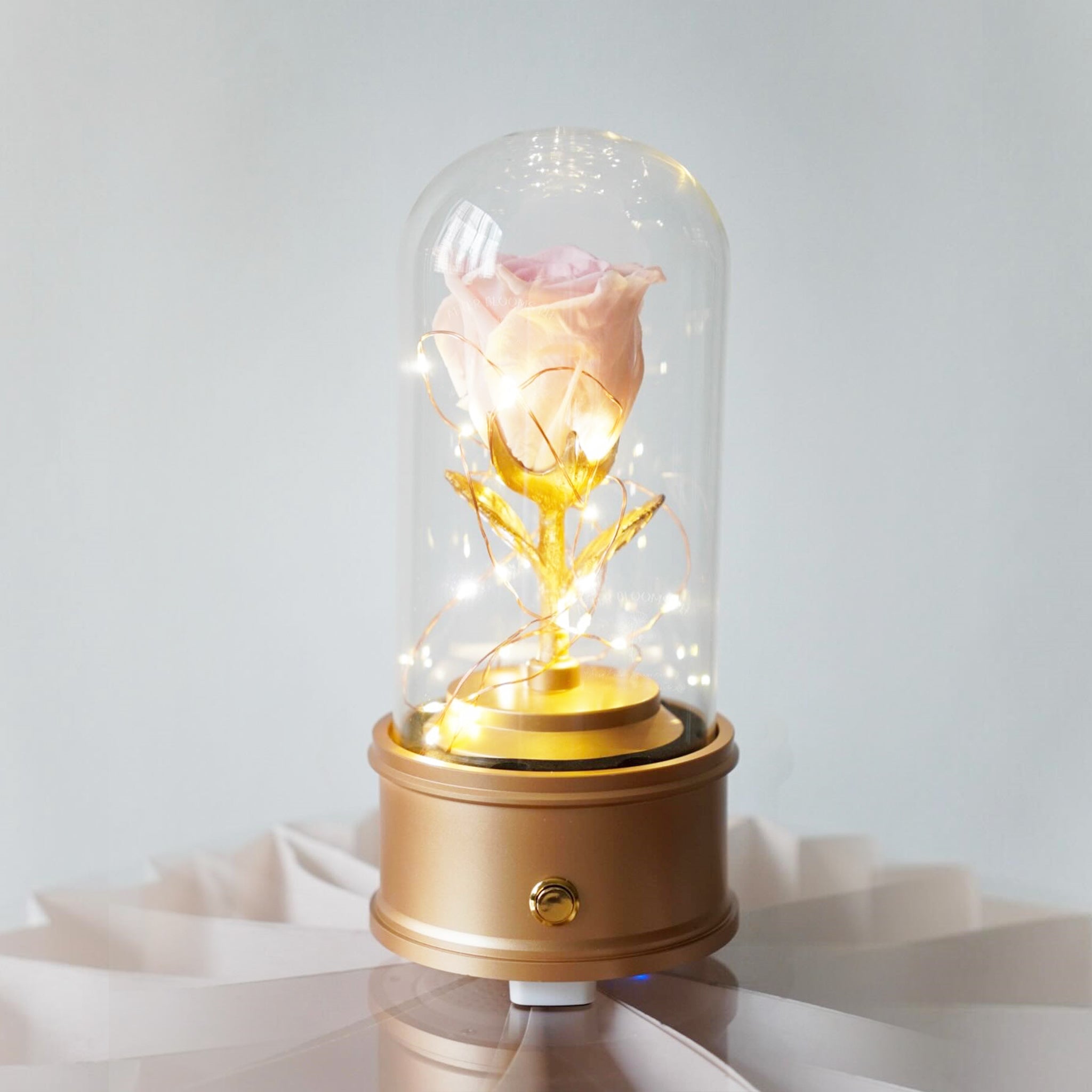 Preserved Rose Dome with Bluetooth Speakers & Lights (FL06)