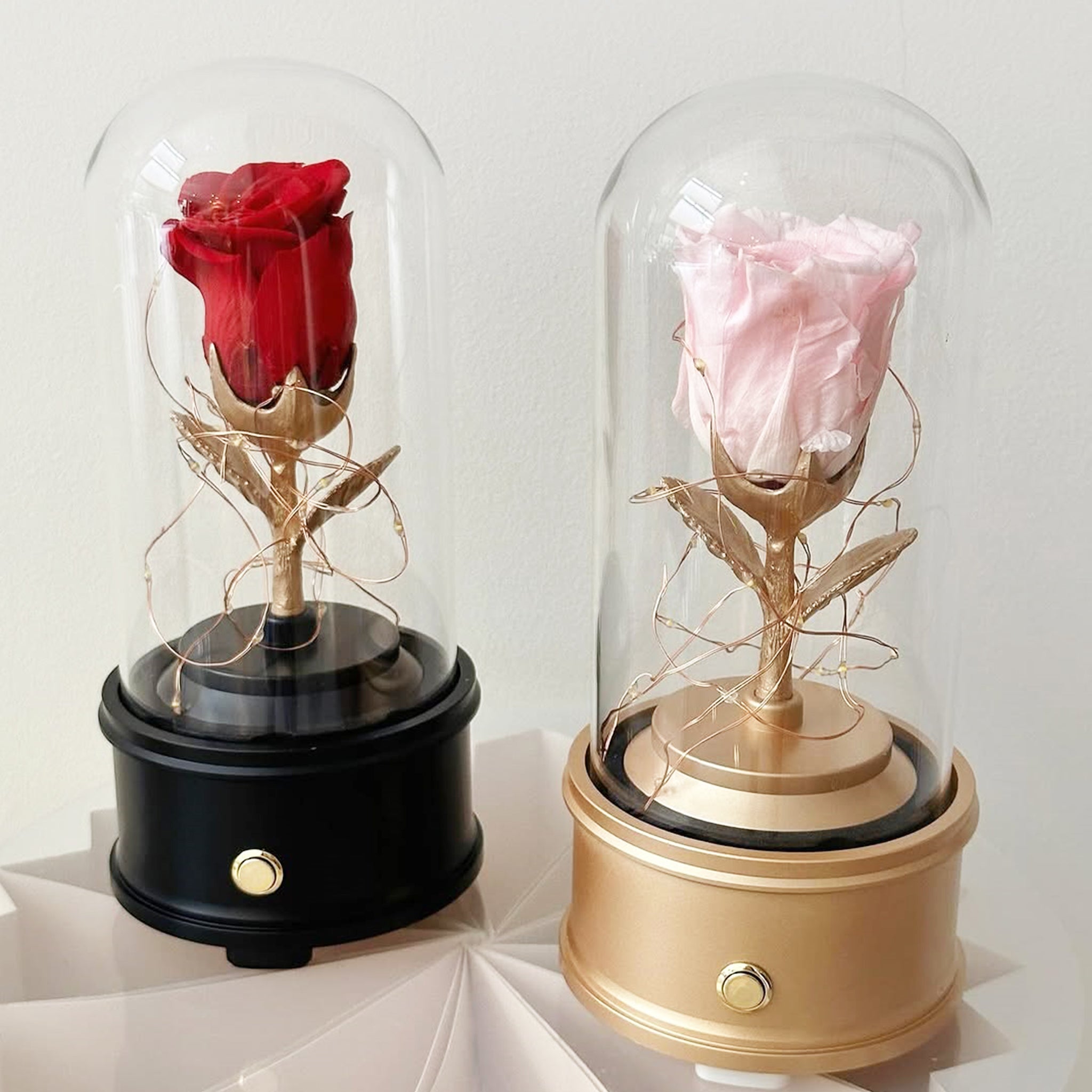 Preserved Rose Dome with Bluetooth Speakers & Lights (FL06)