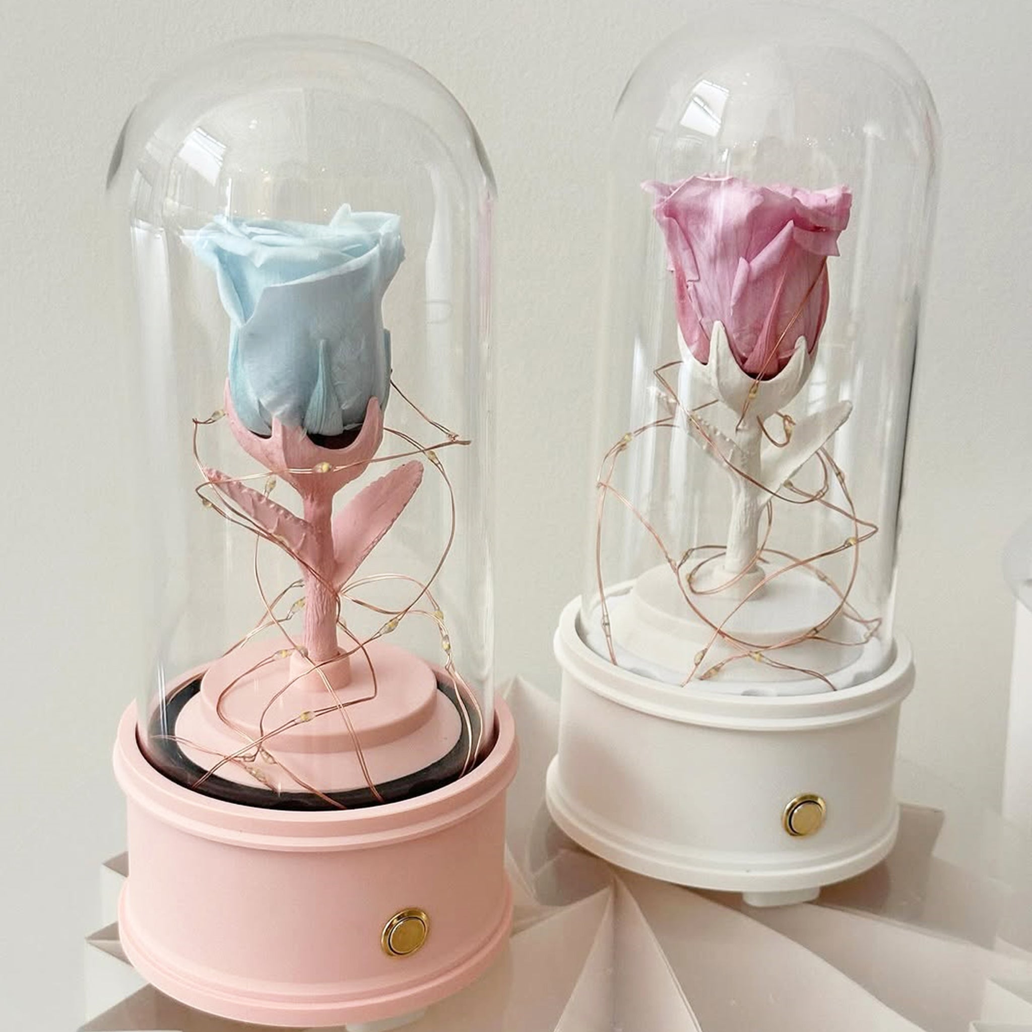 Preserved Rose Dome with Bluetooth Speakers & Lights (FL06)
