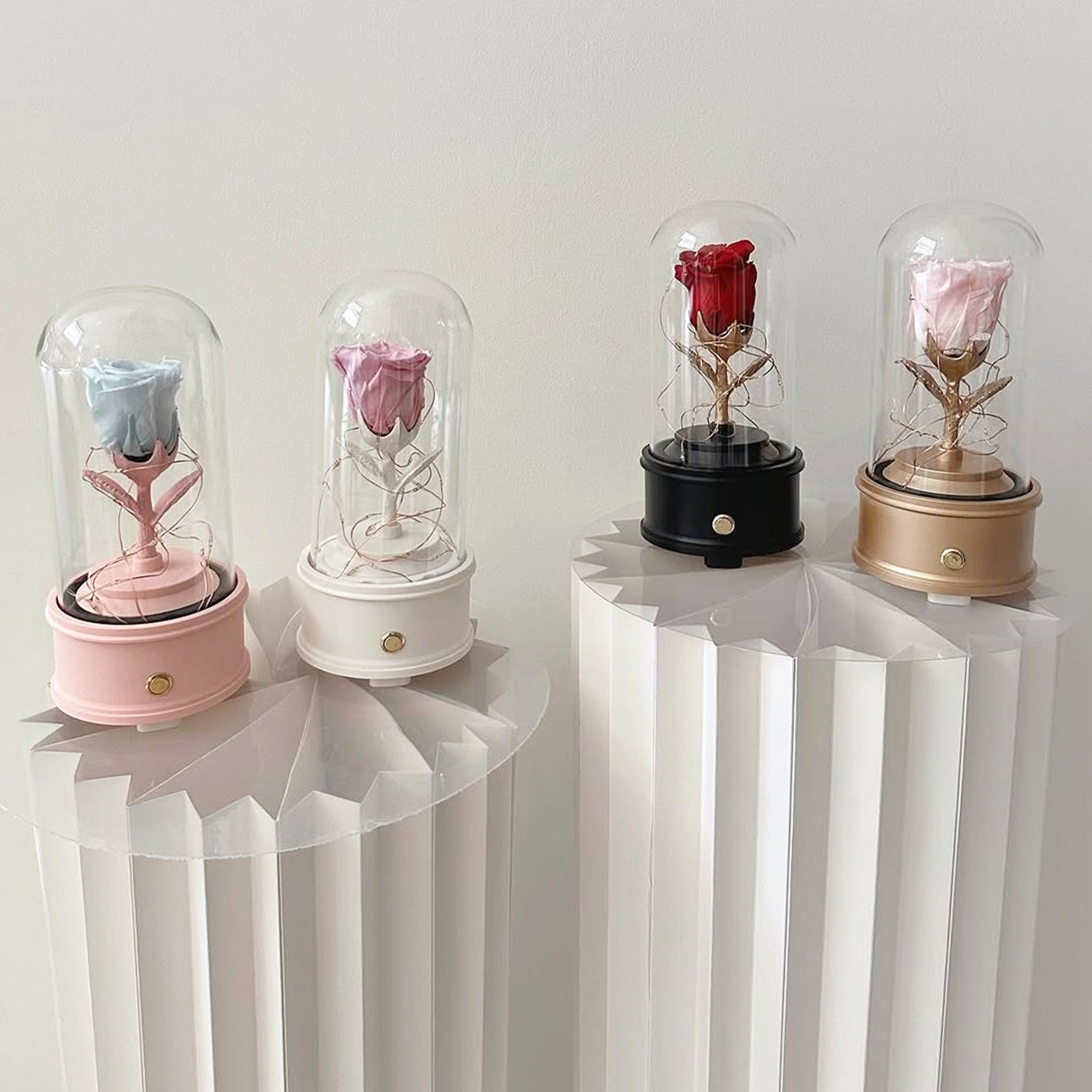 Preserved Rose Dome with Bluetooth Speakers & Lights (FL06)