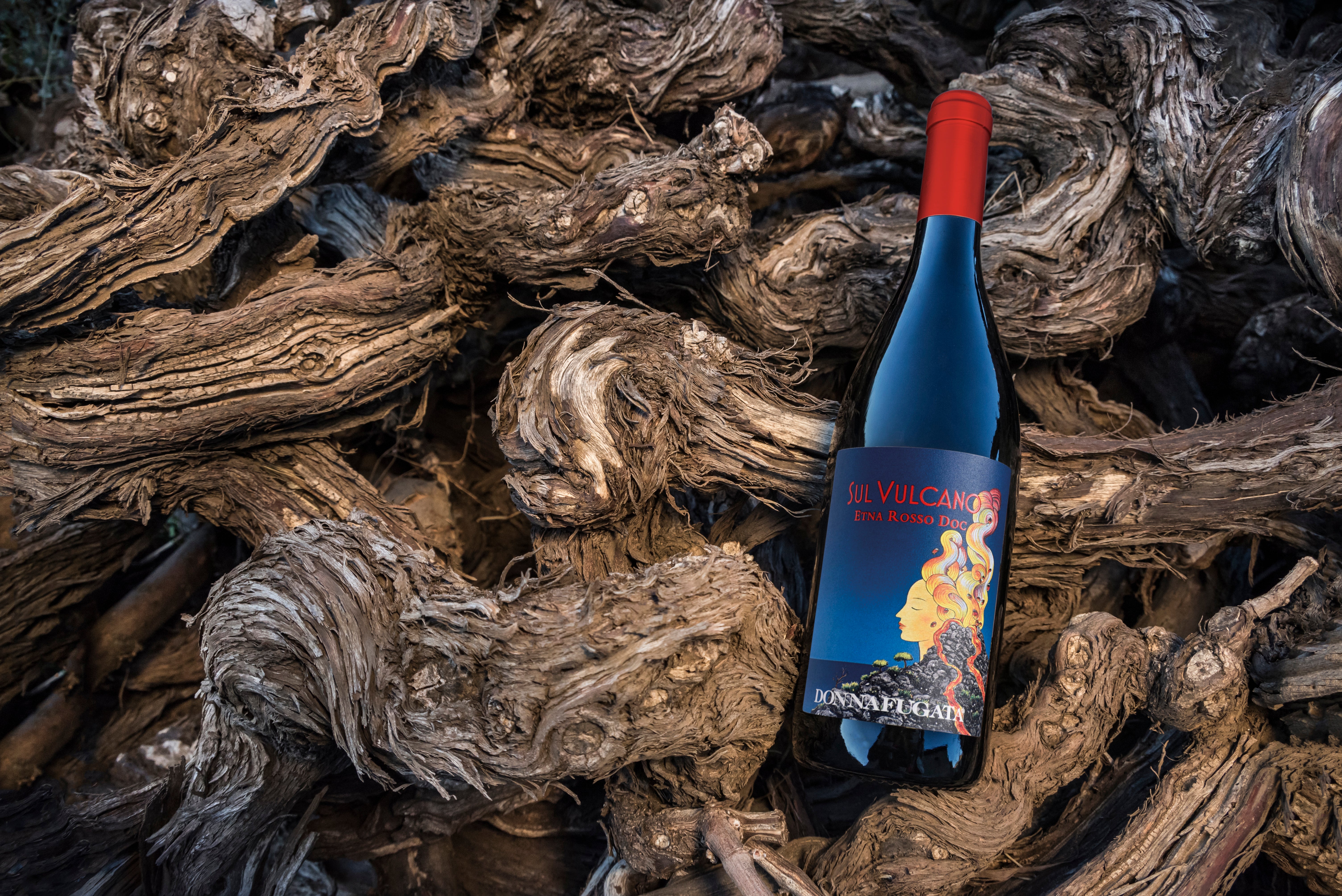 Inseguendo Donnafugata - The Artist's Chest (WS05)