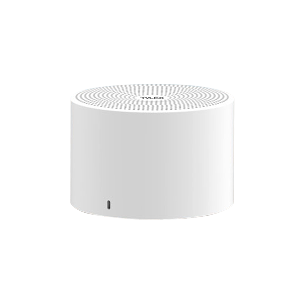 Portable Bluetooth Speaker (C11)