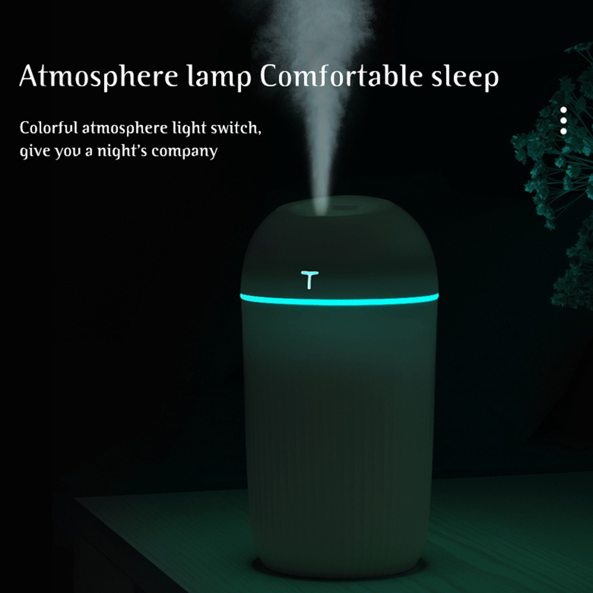 Portable Air Humidifier (C10)