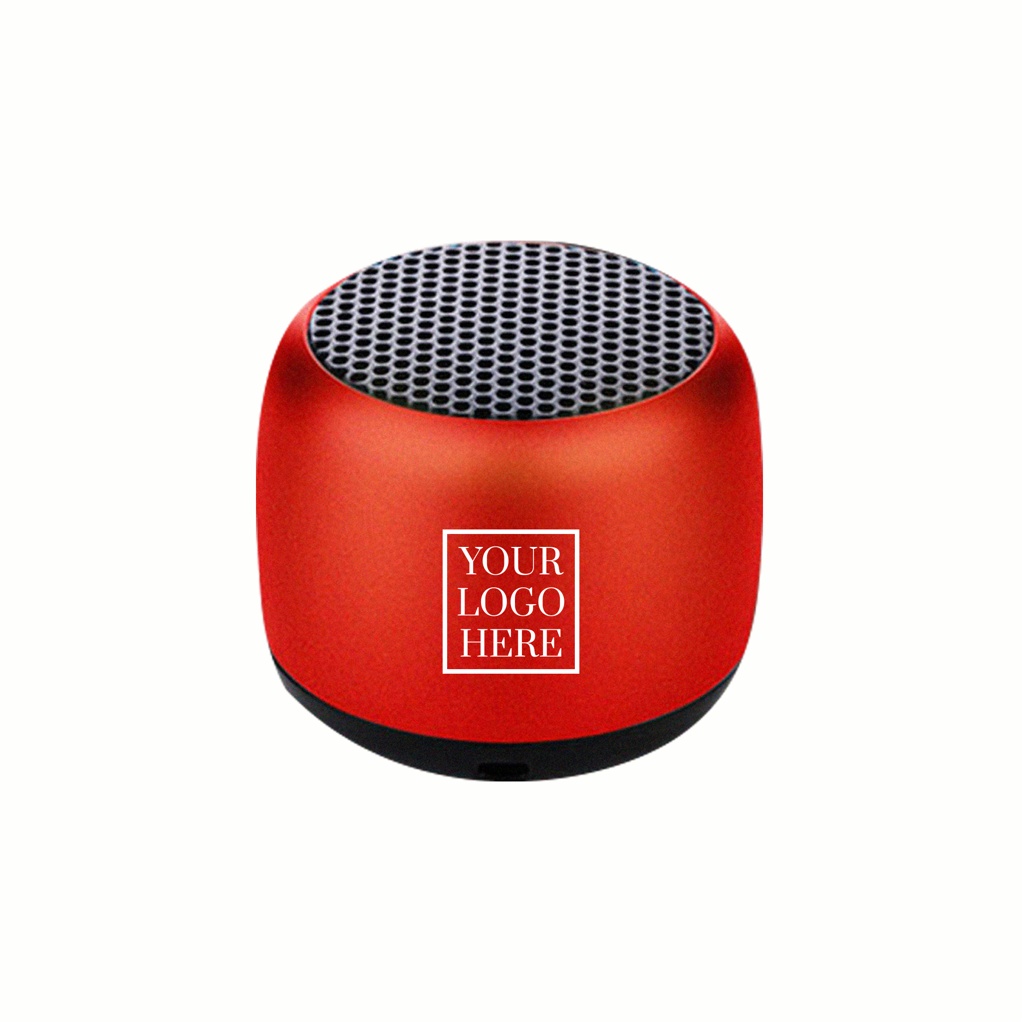 Portable Speaker (PS01)