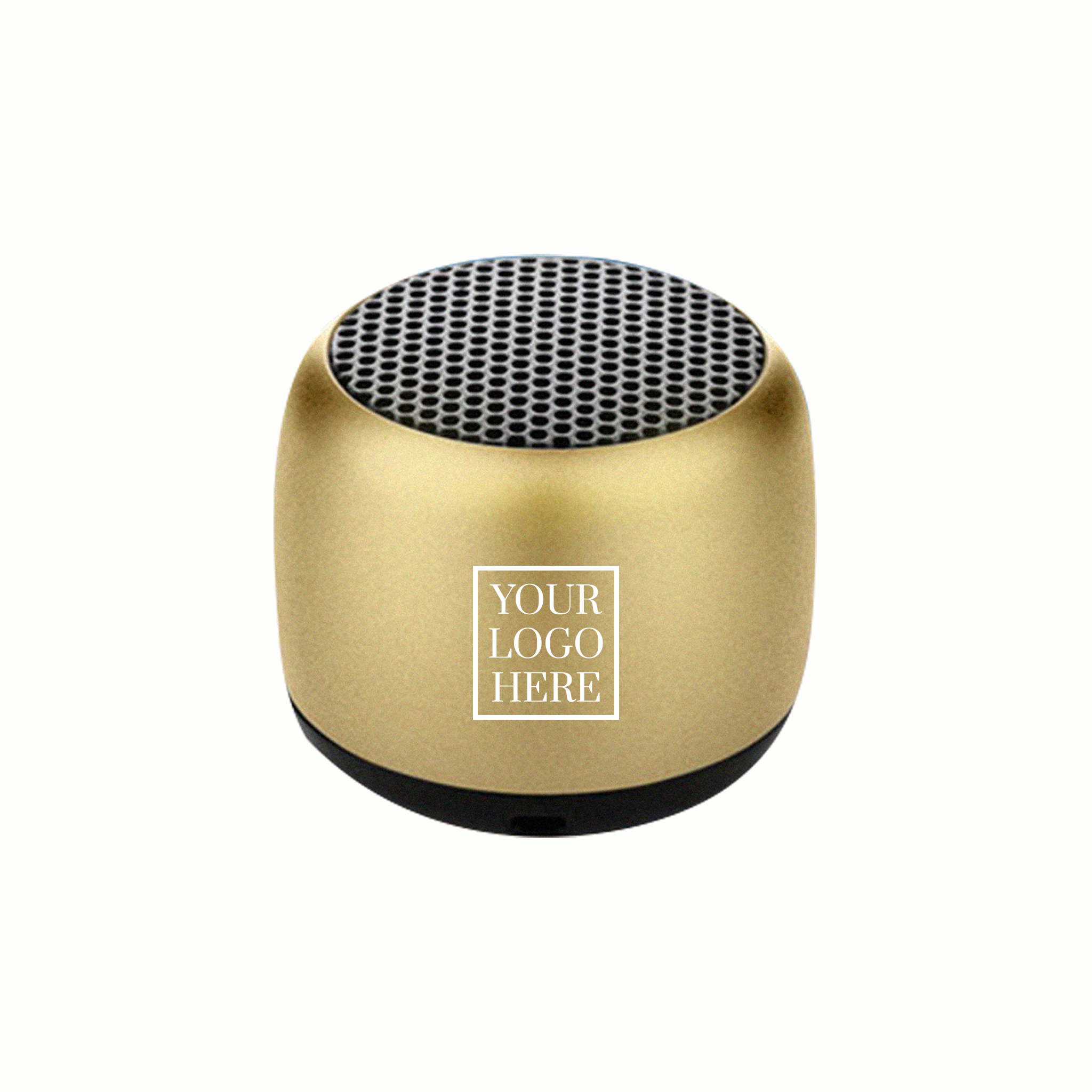 Portable Speaker (PS01)