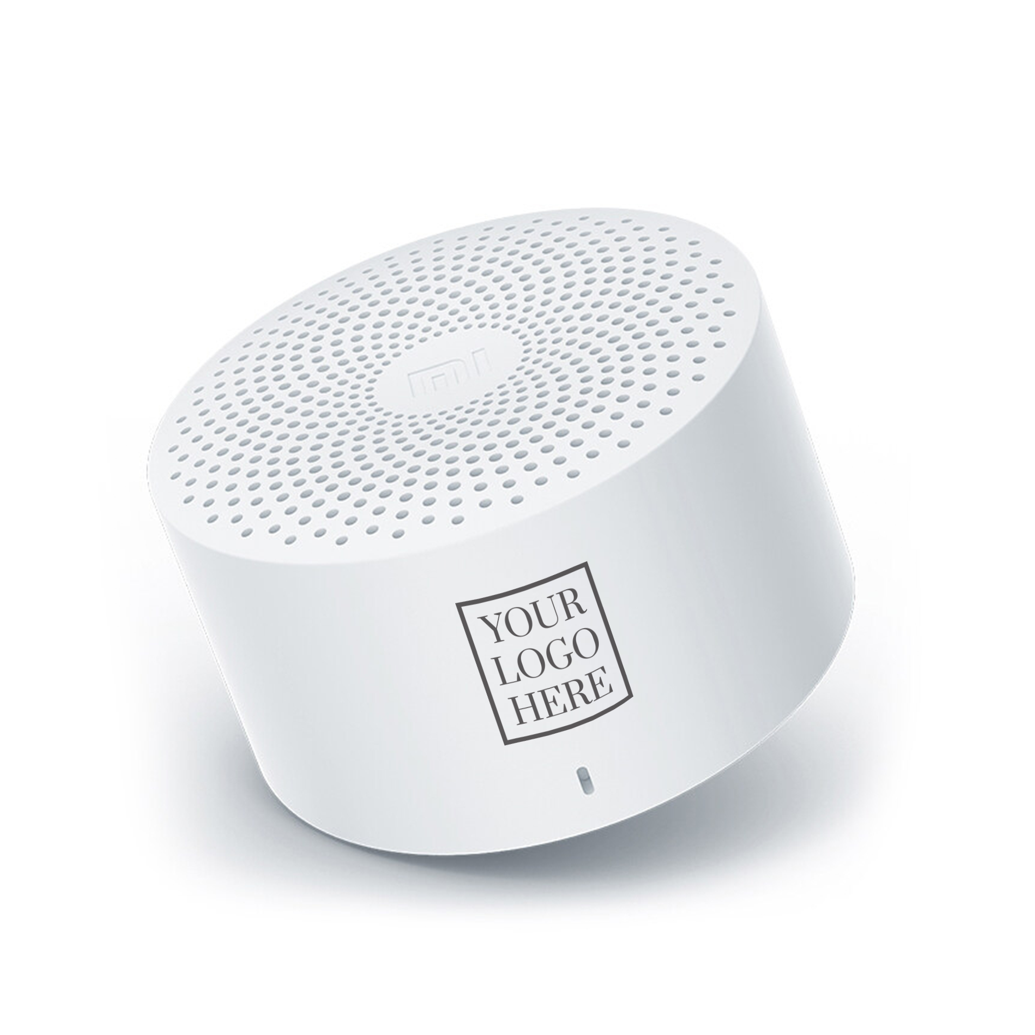 Portable Speaker (PS02)