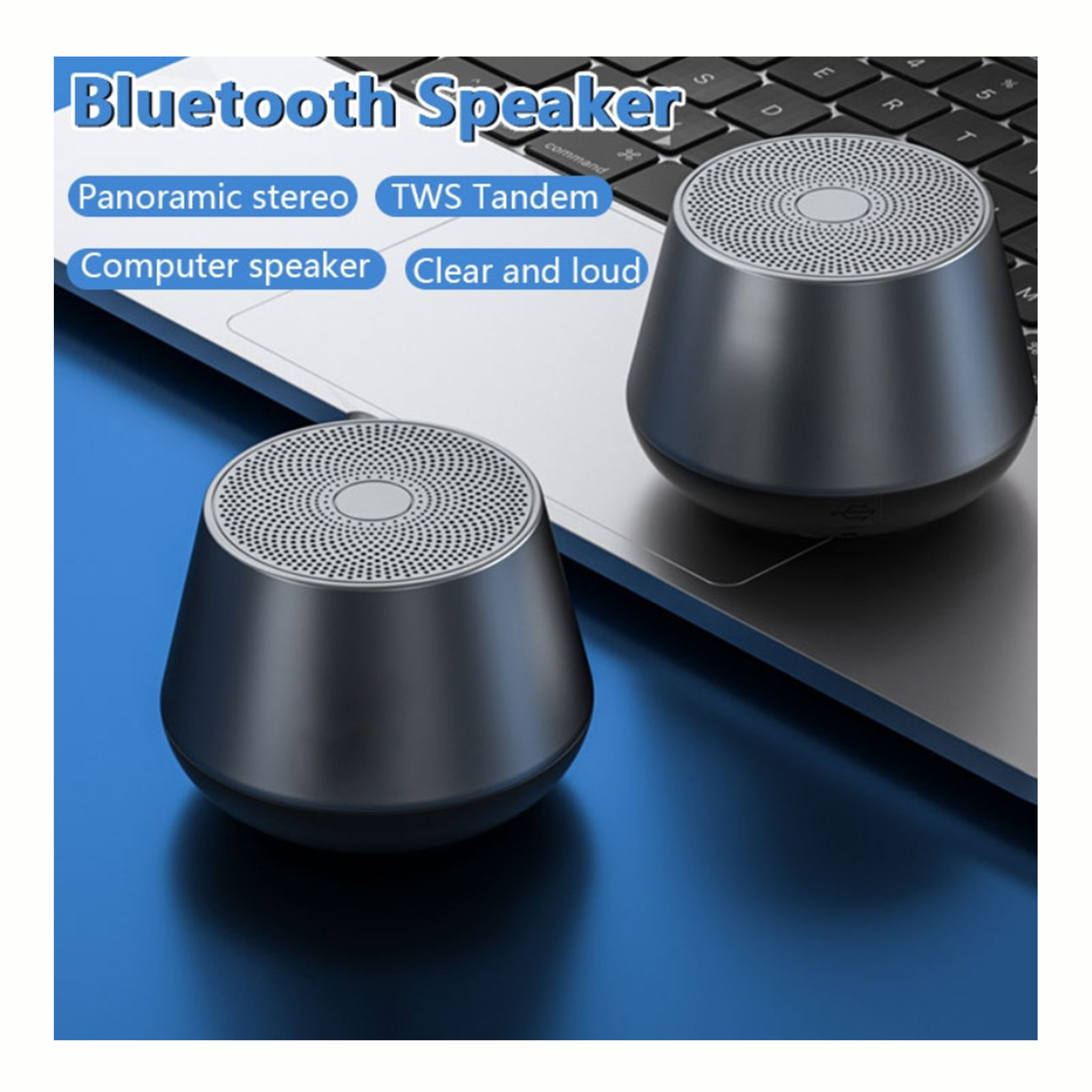 Portable Speaker (PS04)
