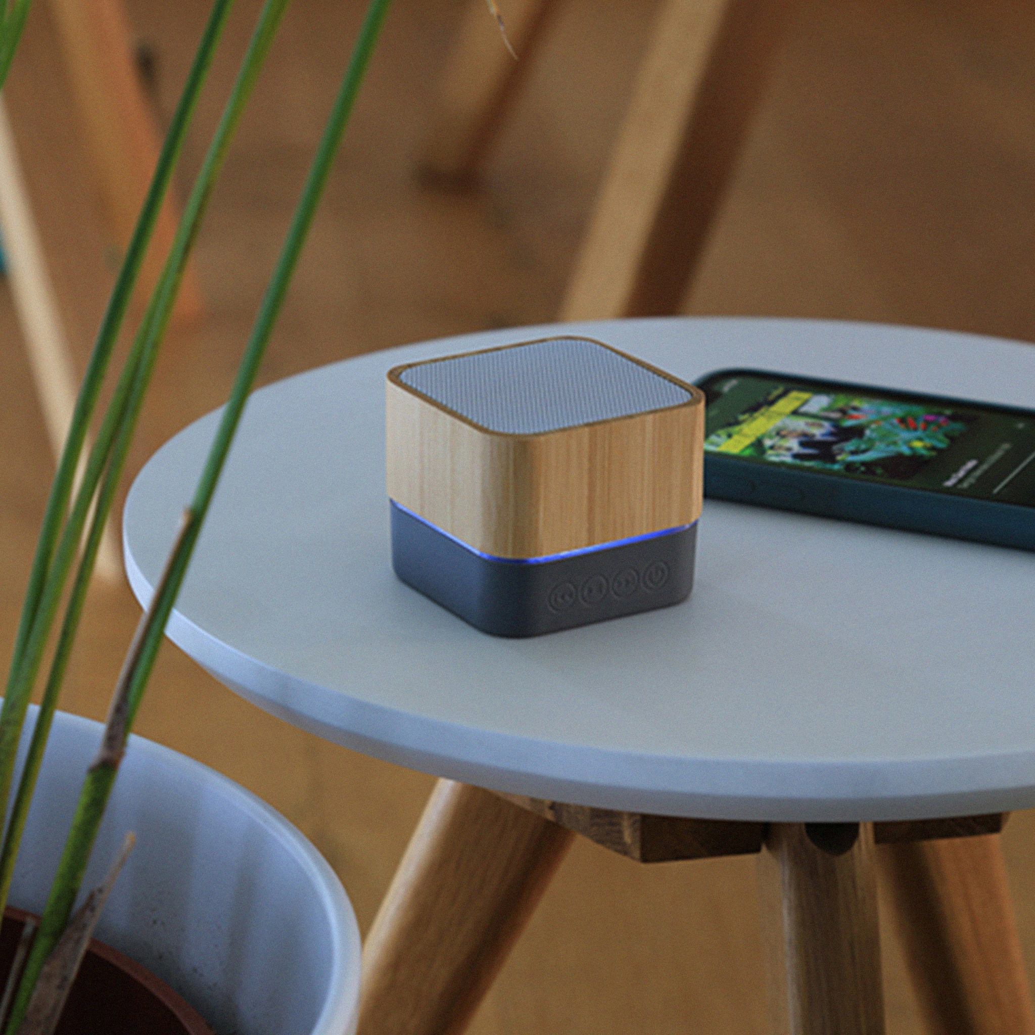 Bamboo Portable Speaker (PS05)