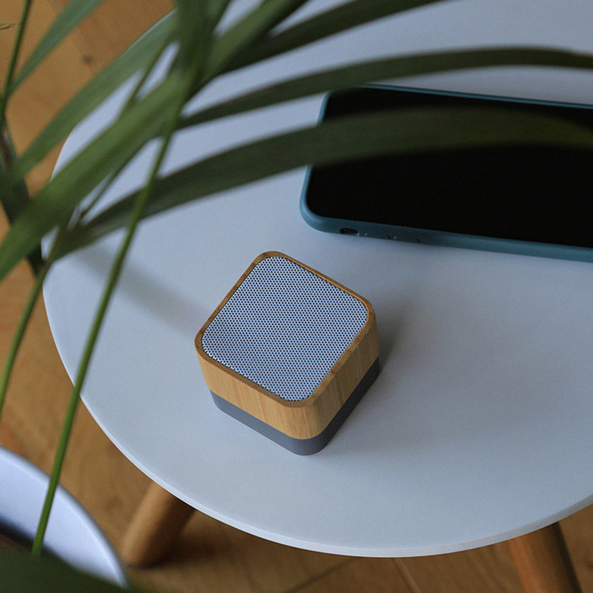 Bamboo Portable Speaker (PS05)