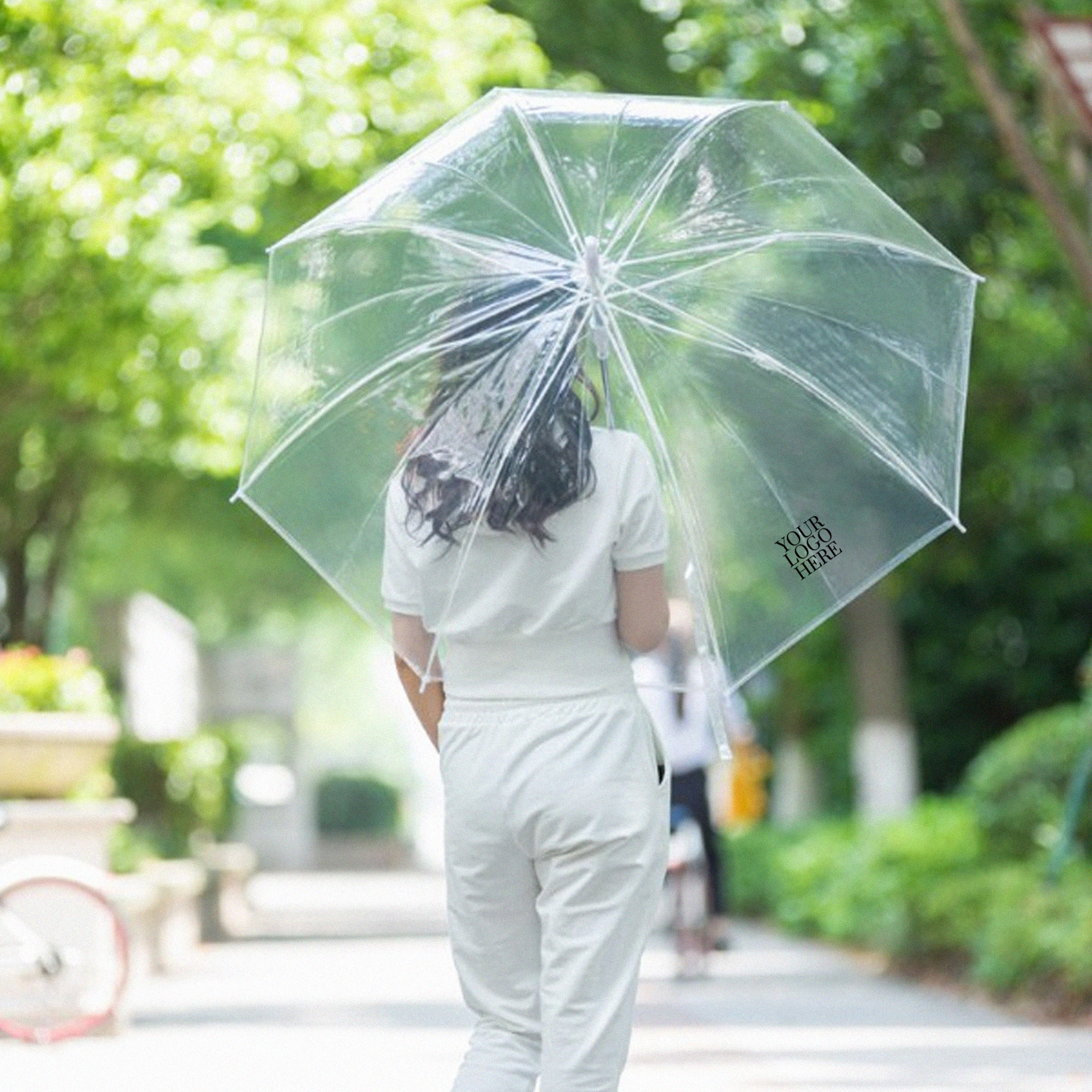Transparent Umbrella (UB05)